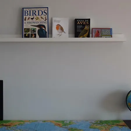 בית הארחה Casa Dos Passarinhos-seaview@nazare נאזרה