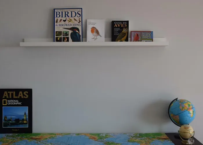 게스트하우스 Casa Dos Passarinhos-seaview@nazare 나자레