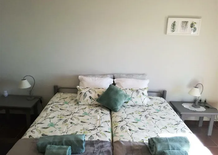 Casa Dos Passarinhos-seaview@nazare 게스트하우스 *